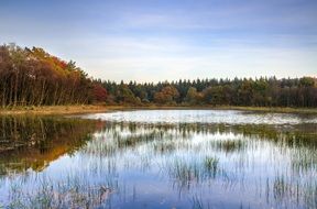 Reflection of autumn forest on calm Lake