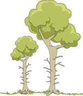 drawing of cartoon green trees with branches