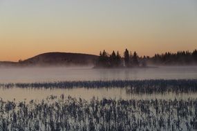 fog over marshland at dusk
