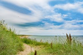 footpath among green grass on a beach in scotland