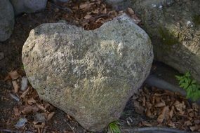 stone heart among dry foliage