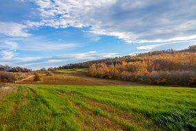 countryside in bulgaria