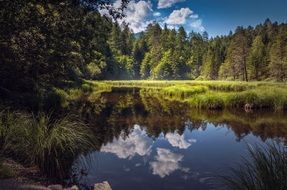 panorama of a transparent forest lake