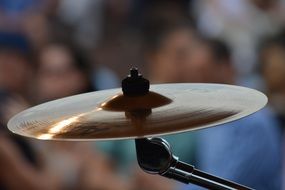 close-up musical instrument