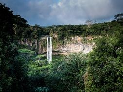 Waterfall Jungle