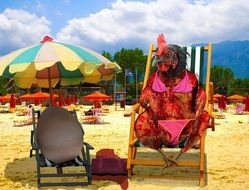 picture of chicken and eggs on sun loungers