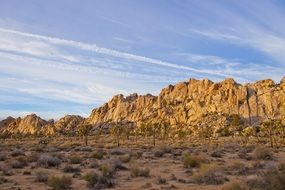 sandstone rock formations in desert, usa, california, Joshua Tree National Park