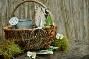 basket with garden tools