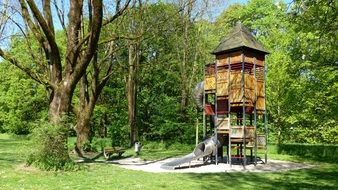 Playground Plant Trees