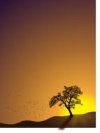 tree on a hill against the orange sky