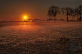 Sunset in Meadow golden Landscape