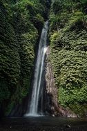 tall Waterfall on rock in tropical Forest