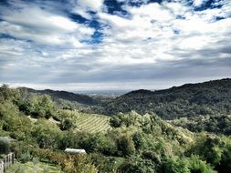 Landscape of cloudy sky and green Hills