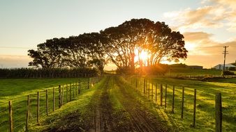 dirt road in the countryside against the background of dawn