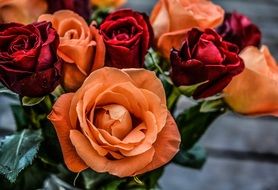 bouquet of red and orange roses