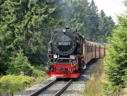 locomotive with red passengers carriages on narrow gauge railway at forest