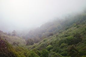 fog in the valley of the mountains