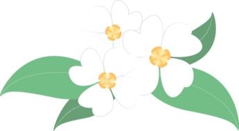 Beautiful and colorful white flowers clipart