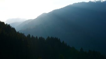 panorama of mountain forest