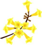 yellow Flower as a drawing