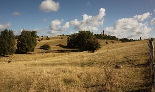 field with dry grass and green trees on the mountain