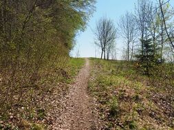 forest trail in baden wÃ¼rttemberg