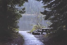 photo of a picnic place on the lake