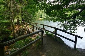 Landscape of summer pond and bridge