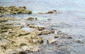 Coral Water Rocks