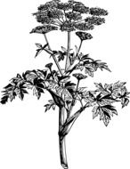 painted garden plant on book page