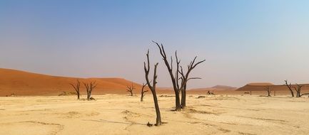 landscapes of Africa Namibia