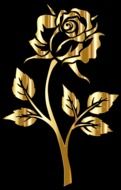 painted golden rose on black background
