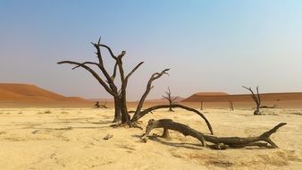 sand dunes in Namibia