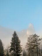 foggy Mountains behind Trees at winter