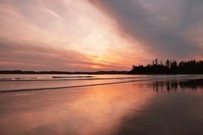 pink sunset on the coast in tofino