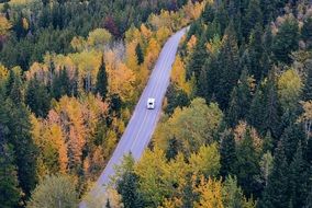 car rides along the highway along the autumn forest