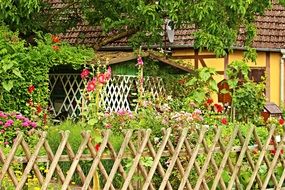 garden fence in the country