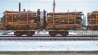 railway wagons with logs