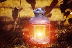 Lantern Light