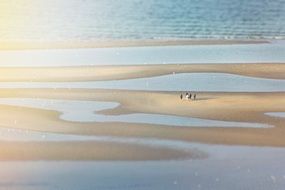 distant view of people walking on seaside, germany, Laboe