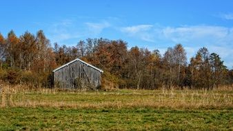 marvelous Autumn Landscape