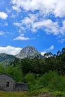 Peak Mountain Top