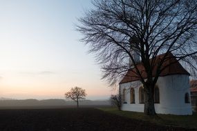 Chapel Tree Arable Abendstimmung