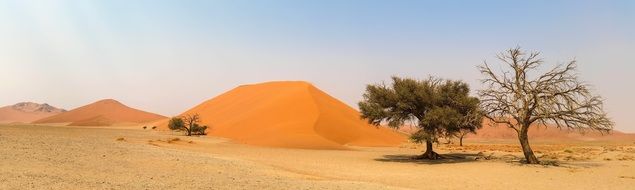 Africa Namibia desert panorama