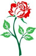 incredibly delicious rose drawing