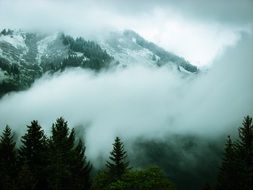 dense fog in the alpine mountains