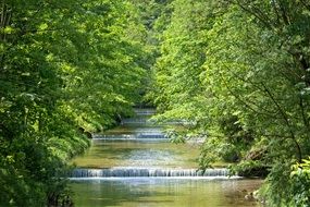 cascade on a stream between green trees