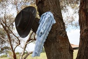 Hat and Shirt onTree