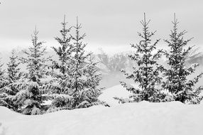 snowy Alps Haute-Savoie