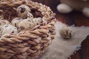 delicious Small quail Eggs